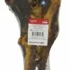 Master PawsÂ® Dino Bone Dog Chew -Master Paws Sales Store 2531872