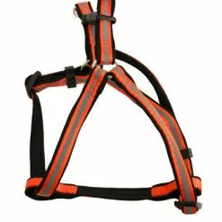 Master PawsÂ® Adjustable Orange Reflective Dog Harness - Medium