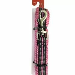 Master PawsÂ® 5' Pink Reflective Nylon Dog Leash - Large