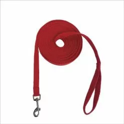 Master PawsÂ® 20' Training Dog Dog Leash - Assorted Colors -Master Paws Sales Store 2533387 P SC1
