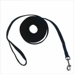 Master PawsÂ® 20' Training Dog Dog Leash - Assorted Colors -Master Paws Sales Store 2533387 P SC3