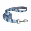 Master PawsÂ® 6' Teal Dog Leash -Master Paws Sales Store 2533825