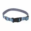 Master Paws® Blue Paw & Bone Adjustable Nylon Dog Collar - Medium 3 Master Paws® Blue Paw & Bone Adjustable Nylon Dog Collar - Medium -Master Paws Sales Store 2533831