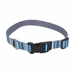 Master PawsÂ® Blue Paw & Bone Adjustable Nylon Dog Collar - Medium