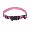 Master Paws® Pink Flower Adjustable Nylon Dog Collar - Small 10 Master Paws® Pink Flower Adjustable Nylon Dog Collar - Small -Master Paws Sales Store 2533843