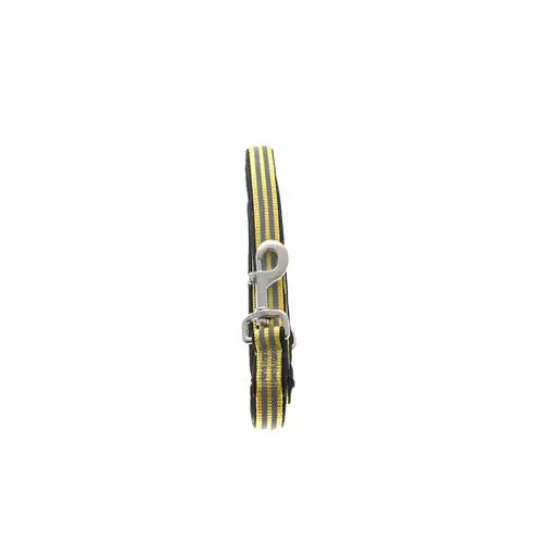 Master Paws® 5' Yellow Reflective Dog Leash - Large 7 Master Paws® 5' Yellow Reflective Dog Leash - Large -Master Paws Sales Store 2533931 P SF