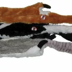 Master PawsÂ® Plush Dog Toy With No Stuffing - Assorted