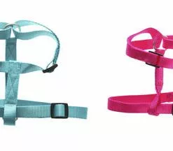 Master PawsÂ® Medium Adjusable Nylon Dog Harness - Assorted Colors