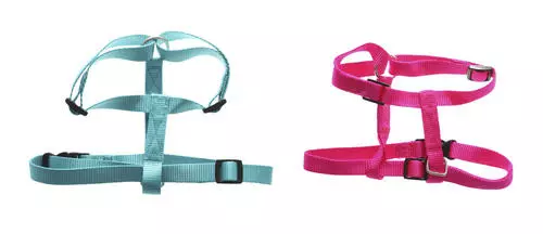 Master Paws® Medium Adjusable Nylon Dog Harness - Assorted Colors 3 Master Paws® Medium Adjusable Nylon Dog Harness - Assorted Colors -Master Paws Sales Store 48224EA2533406