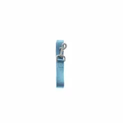 Master PawsÂ® 1" X 5' Sky Blue Nylon Dog Leash