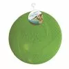 Master PawsÂ® Natural Rubber Flexible Disc Dog Toy - Assorted Colors -Master Paws Sales Store 70231 1